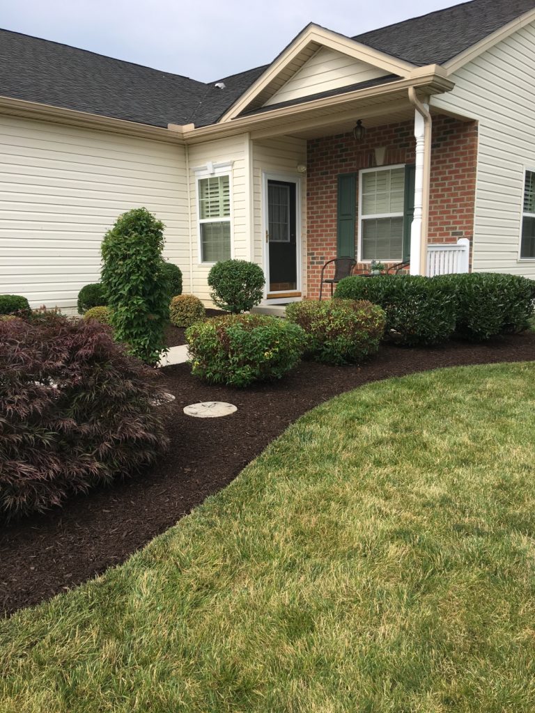 Tree and Shrub Maintenance Hornbaker's Landscaping