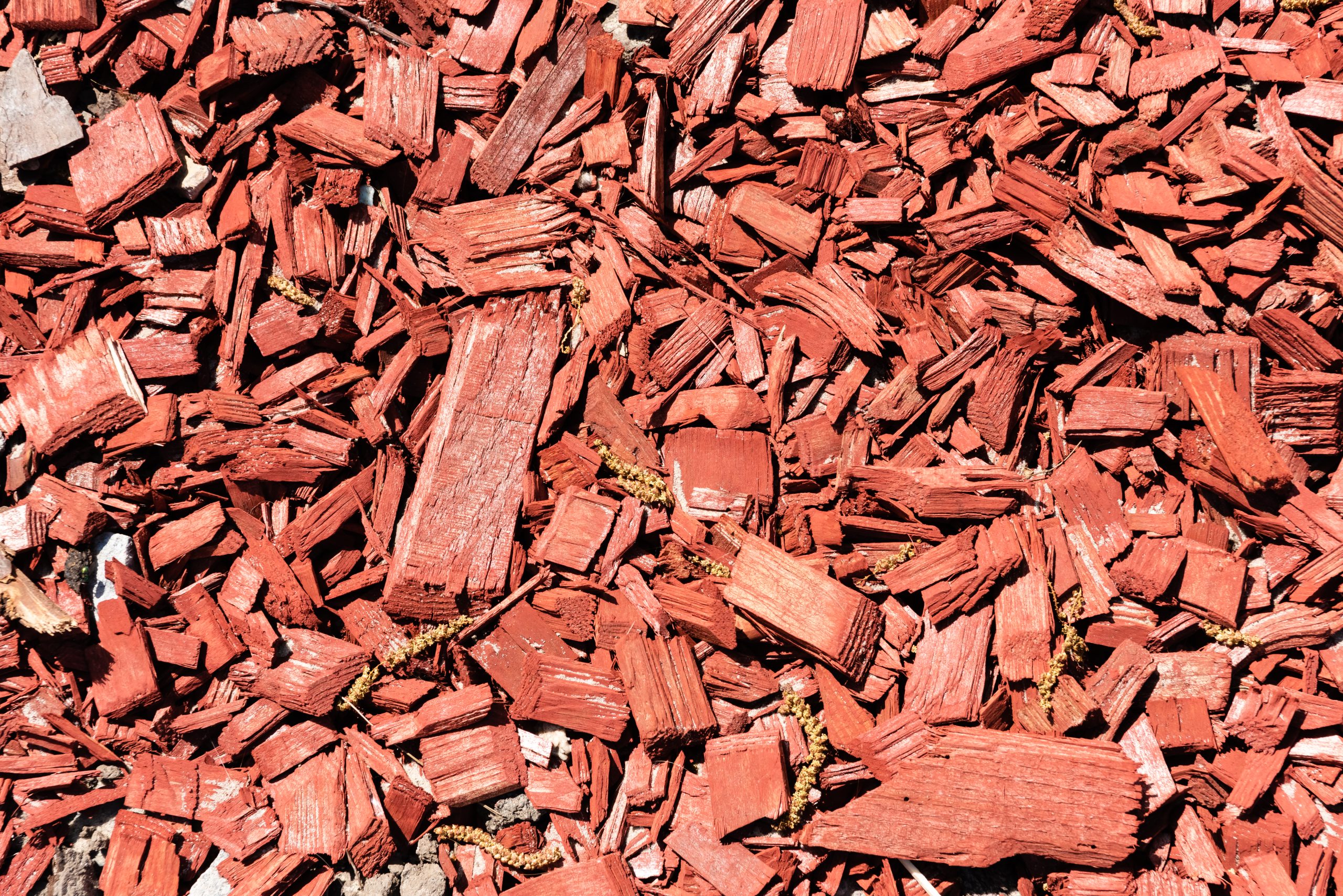 Close-up of red painted wood chips and mulch pieces forming a rough textured background